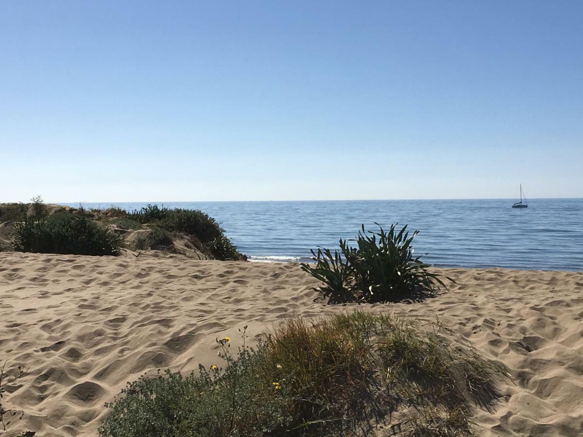 Estudio Primera Linea 50 Mtrs Playa. Fibra 600Mb Марбелья Экстерьер фото