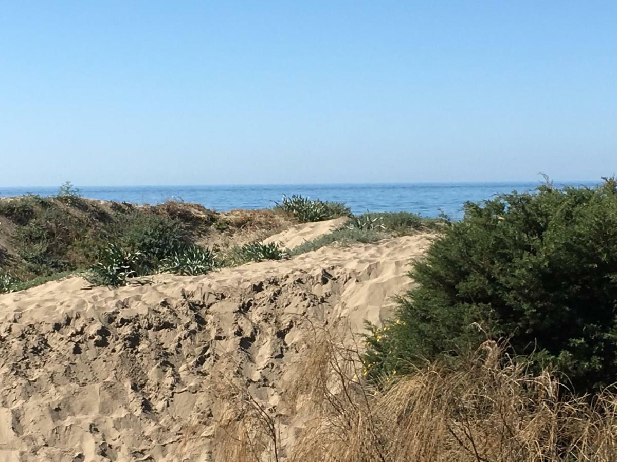 Estudio Primera Linea 50 Mtrs Playa. Fibra 600Mb Марбелья Экстерьер фото